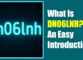 What Is DN06LNH? An Easy Introduction