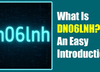 What Is DN06LNH? An Easy Introduction