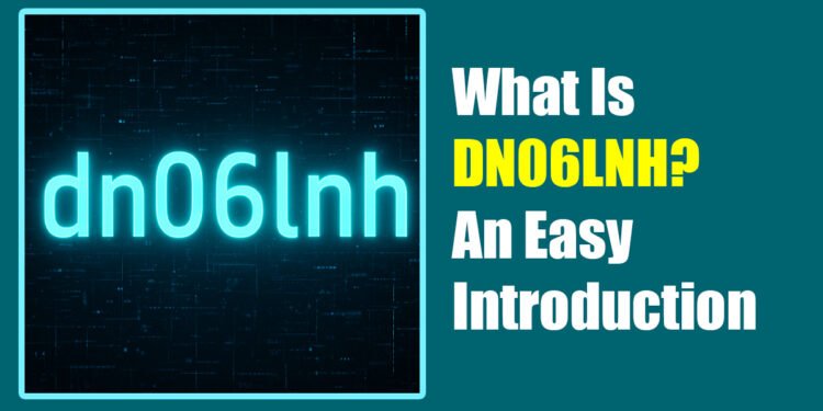 What Is DN06LNH? An Easy Introduction
