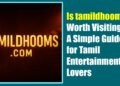 Is tamildhooms.com Worth Visiting? A Simple Guide for Tamil Entertainment Lovers