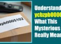 Understanding ycbzpb00005102: What This Mysterious Code Really Means